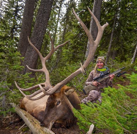 Wyoming Elk Hunting Outfitters | Best of the West Outfitters