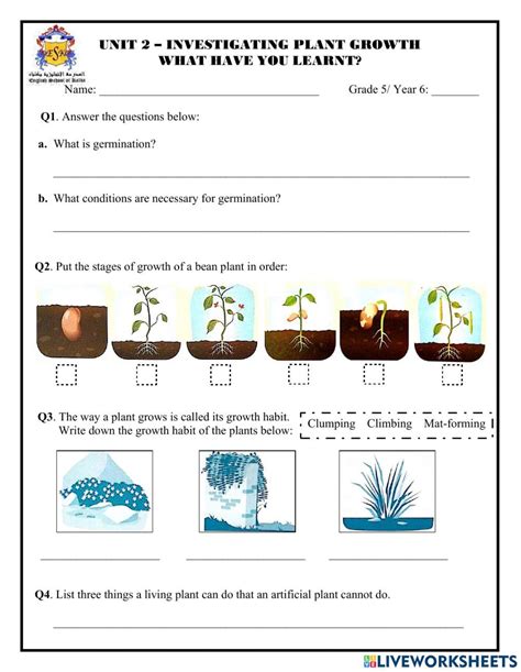 Unit 2 investigating plant growth worksheet – Artofit