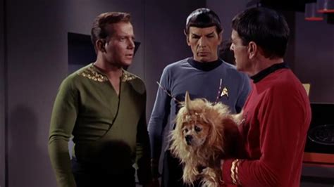 Watch Star Trek: The Original Series (Remastered) Season 1 Episode 5: The Enemy Within - Full ...