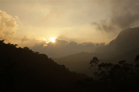 Sunrise over the hills, Munnar | Kerala Tourism