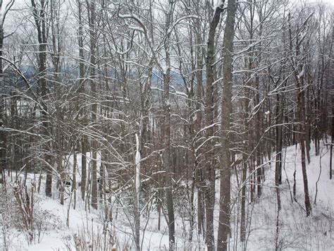 Living Above the Frost Line: Snow in the Southern Appalachian Mountains ...