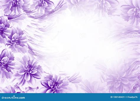 Floral Purple-white Beautiful Background. Composition of Flowers Blue ...