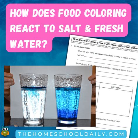 Salt Water Experiment Pack - The Homeschool Daily