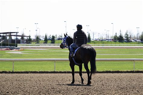 Quarter Horse racing Returns May 7 - Ontario Racing