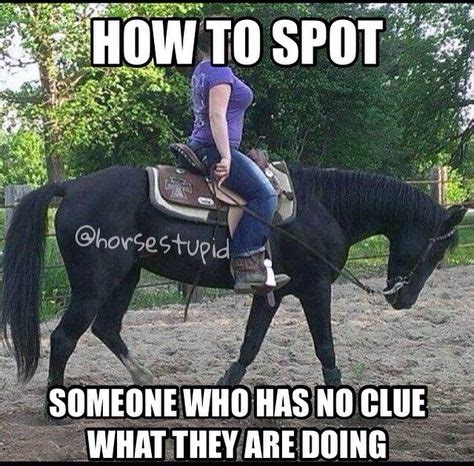 12 Horse memes ideas | horse quotes, funny horses, equestrian quotes