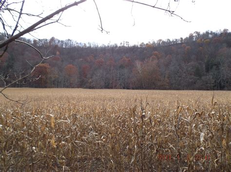 ohio corn field | Natural landmarks, Landmarks, Nature