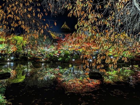 Toji Temple by Night Photograph by Laura Merz - Fine Art America