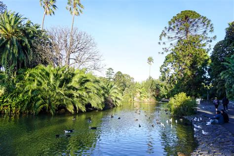 15 Best Picnic Spots in Melbourne for Families | TOT: HOT OR NOT