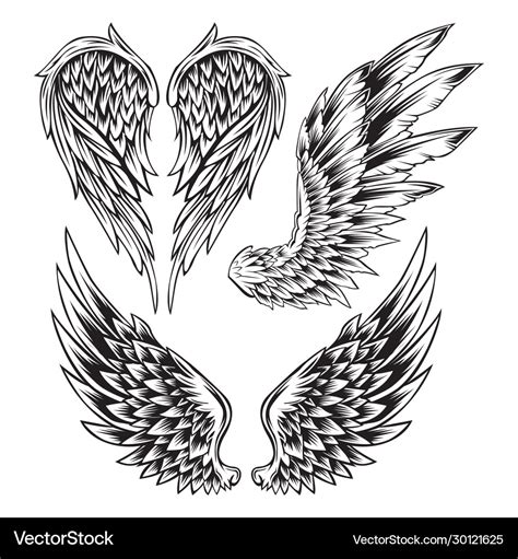 Feather Drawing Black And White Tattoo