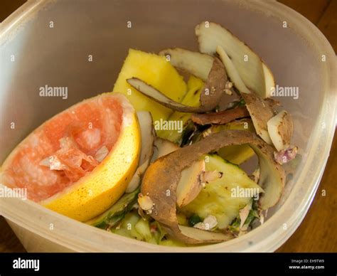 Small kitchen compost container Stock Photo - Alamy