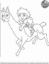 Go Diego Coloring Picture  Home sketch template