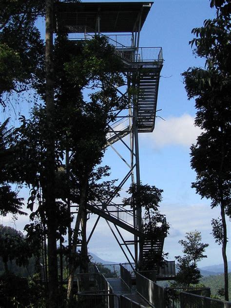 The Mamu Rainforest Canopy Walkway is located 115 km south of Cairns in ...