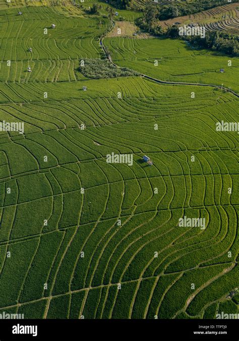 Aerial view of cultivated land Stock Photo - Alamy