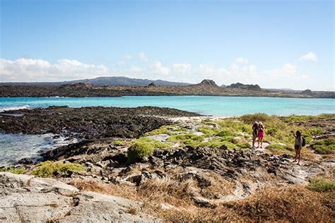 Galapagos Islands Cruises 2023 - GalapagosInformation.com Blog