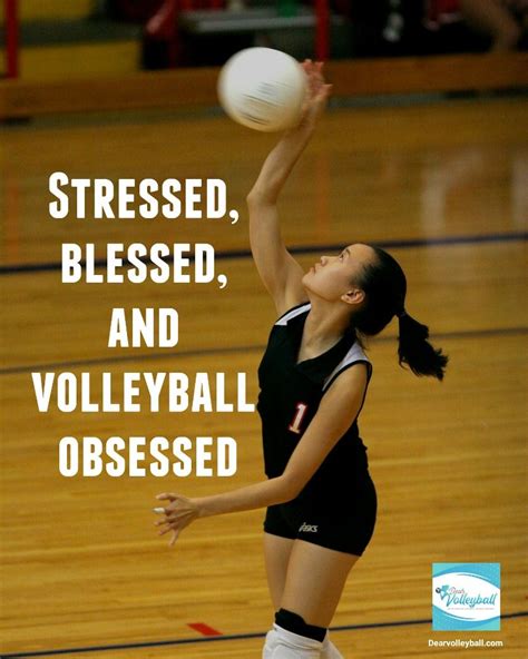 37 Volleyball motivational quotes from famously popular coaches offering inspiratio ...