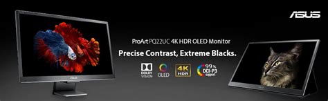 ASUS ProArt PQ22UC Professional Monitor , 4K (3840x2160), OLED, 99% DCI-P3, HDR, Smart ...