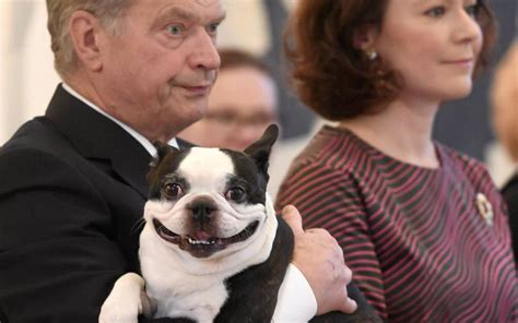 Finland's 'First Dog' Wins The Internet | Crooks and Liars