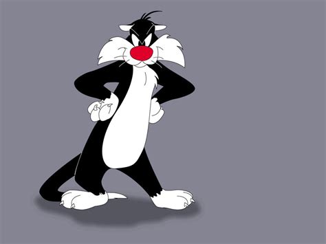 Sylvester the Cat Wallpaper (58+ images)