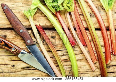 Rhubarb Stems On Image & Photo (Free Trial) | Bigstock