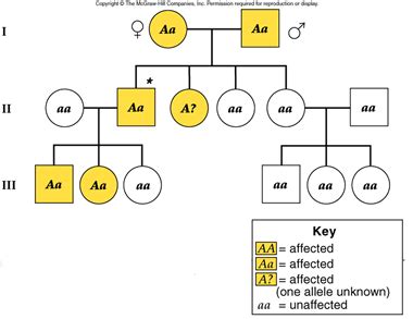 Pedigree Of Achondroplasia