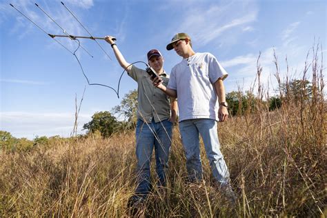 Undergraduate Degrees - Department of Rangeland, Wildlife and Fisheries Management