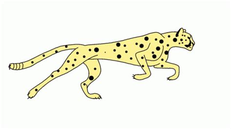 Cheetah Animation Running Sprinting 2d GIF | GIFDB.com