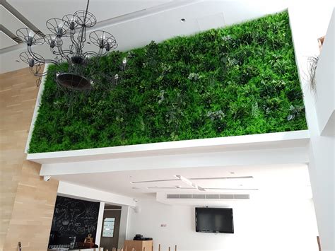 S.K Optimus | Artificial Green Wall Panel A038 | Nicosia, Cyprus