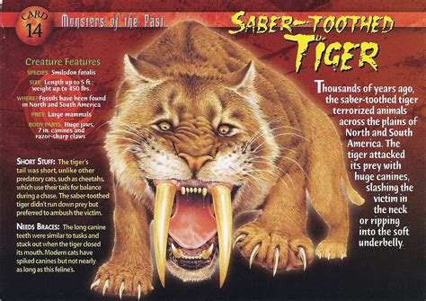 Saber-Toothed Tiger | Weird n' Wild Creatures Wiki | FANDOM powered by ...