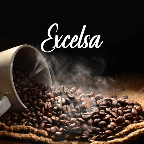 Excelsa coffee - What is so special about this offshoot of Arabica?