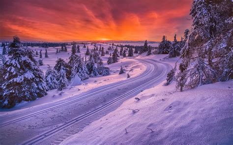 Tracks on the snowy road HD desktop wallpaper : Widescreen : High Definition : Fullscreen