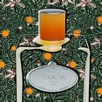 Infusion de Fleur d'Oranger by Prada » Reviews & Perfume Facts