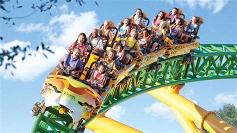 Busch Gardens Tampa: Opiniones, Info, Precios, Ofertas | PACommunity