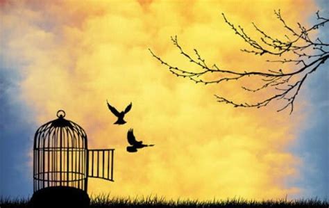 birds set free from their cage Osho, Louise Hay, Bird Graphic, Graphic Art, Alice Ruiz, Smoking ...