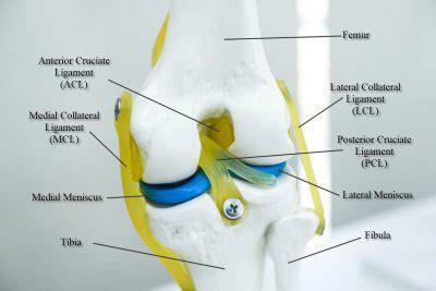 Symptoms of a Torn ACL - JOI Jacksonville Orthopaedic Institute