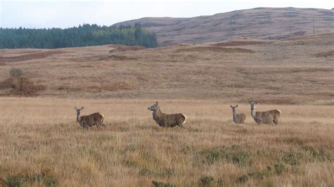 Wild About Bikepacking Video & The Argyll Islands Route - BIKEPACKING.com