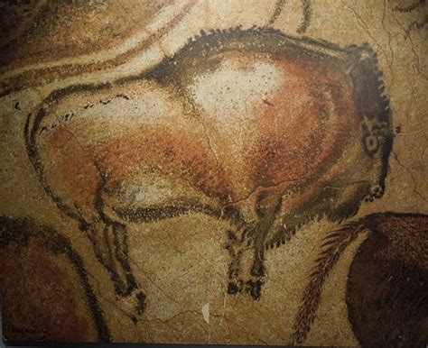 Bison Cave painting | Ted | Flickr