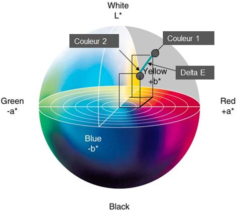 The Delta E | Coraye Documentation