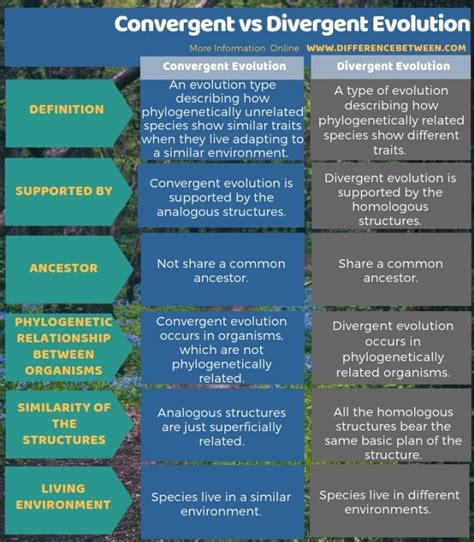 Difference Between Convergent and Divergent Evolution | Compare the Difference Between Similar Terms