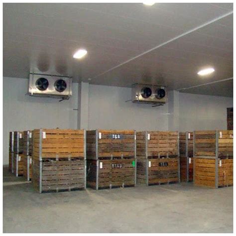 Onion Cold Storage 8x8x8-ft in Pune - Jayesh Enterprises