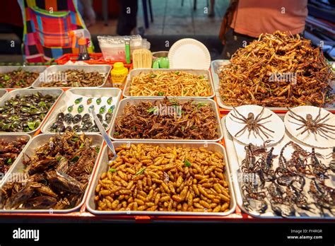 Sales of fried insects in Khao San Road, Bangkok, Thailand Stock Photo ...