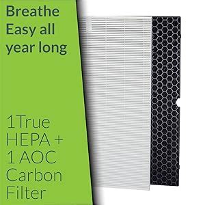 Winix H Replacement Filter Compatible with Air Cleaner 5500-2 Pack ...