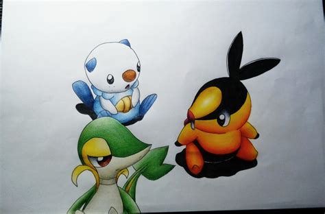 Pokemon - Black/White Starters by Pandaroszeogon on DeviantArt