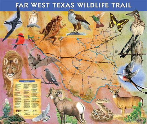 Passport to Texas » Blog Archive » Wildlife Trail Maps