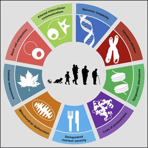 THE BIOMARKERS OF HEALTH AND AGING IS THERE A PARADIGM SHIFT COMING IN THEIR MEASUREMENTS