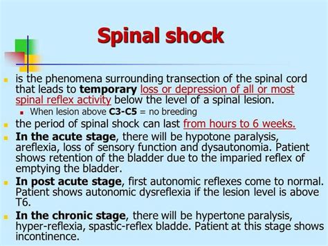 Spinal shock