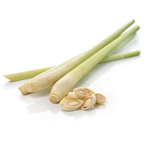 Fresh Thai Lemongrass (Lemon Grass) - Imported Weekly from Thailand ...