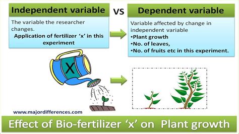 Independent variable vs Dependent variable explained with a simple example | Biology lessons ...