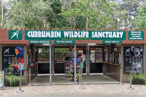 Currumbin Wildlife Sanctuary - A Gold Coast Must-See