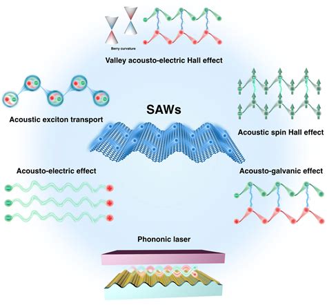 Surface acoustic wave induced phenomena in two-dimensional materials ...