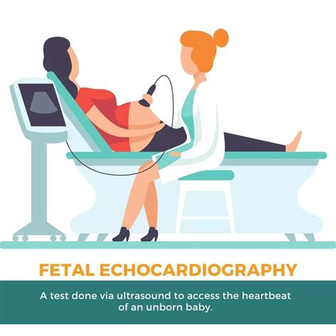 Fetal Echocardiography Overview - Deep Medical Centre